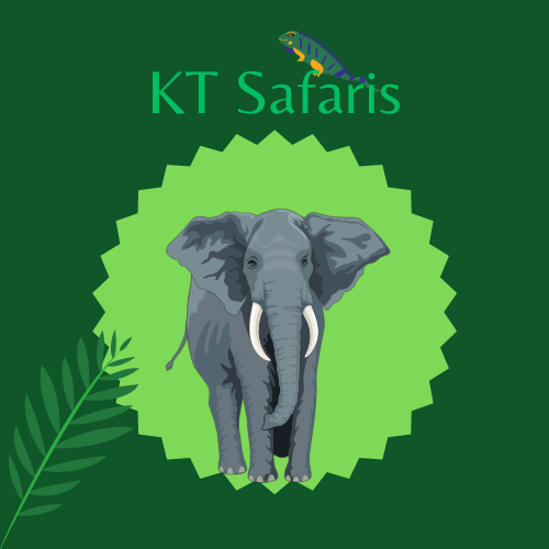 KT Safaris